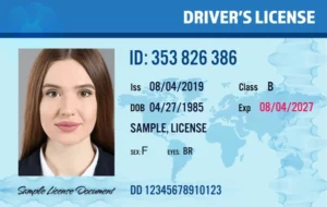 Driving License Download