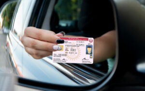 Verify Driving License Number