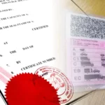 Driving License Translation in Dubai