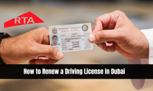 Driving License Translation in Dubai